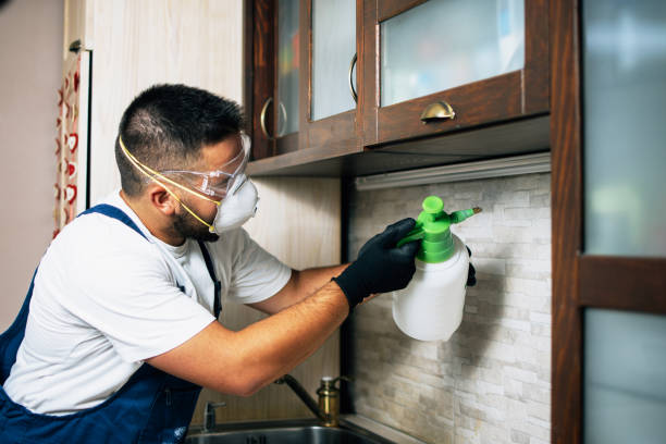 Best Affordable Pest Control Services  in Malta, IL