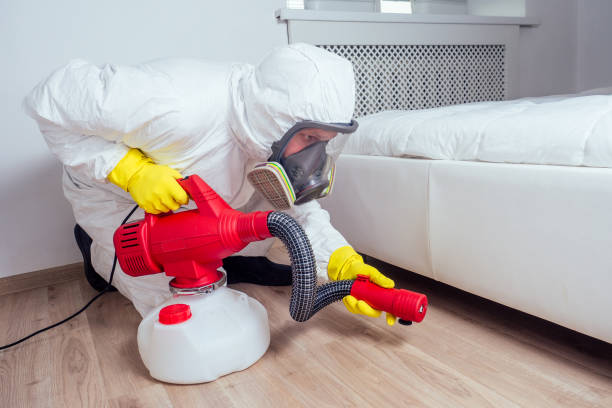Best Cockroach Control Services  in Malta, IL