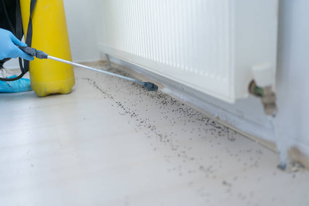 Best Wildlife Control Services  in Malta, IL