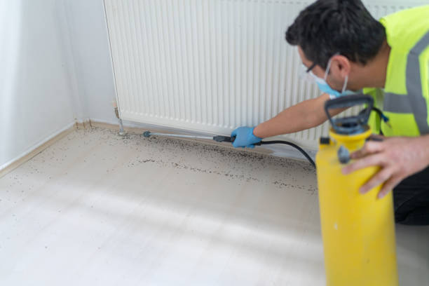 Best Termite Control Services  in Malta, IL