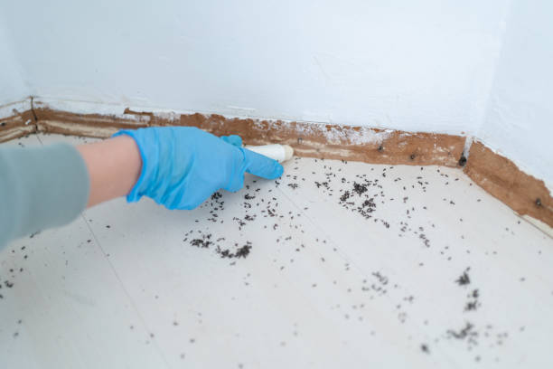 Best Pest Control Treatment  in Malta, IL